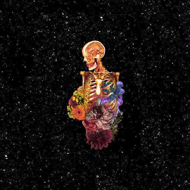 Bleed cover art