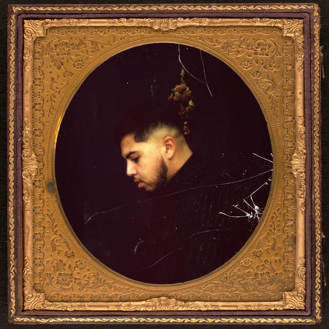 Nocif cover art