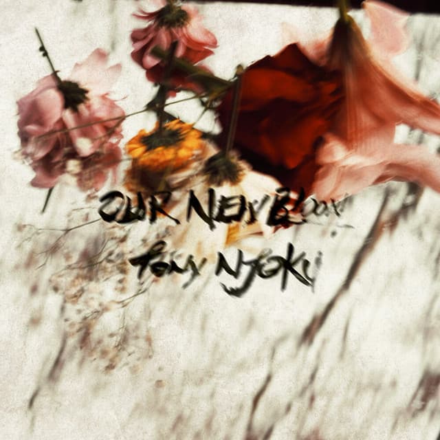 Lotus cover art