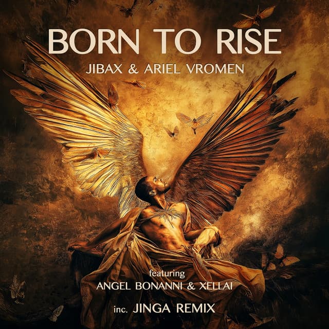 Born to Rise - Jinga Remix Radio-Edit cover art