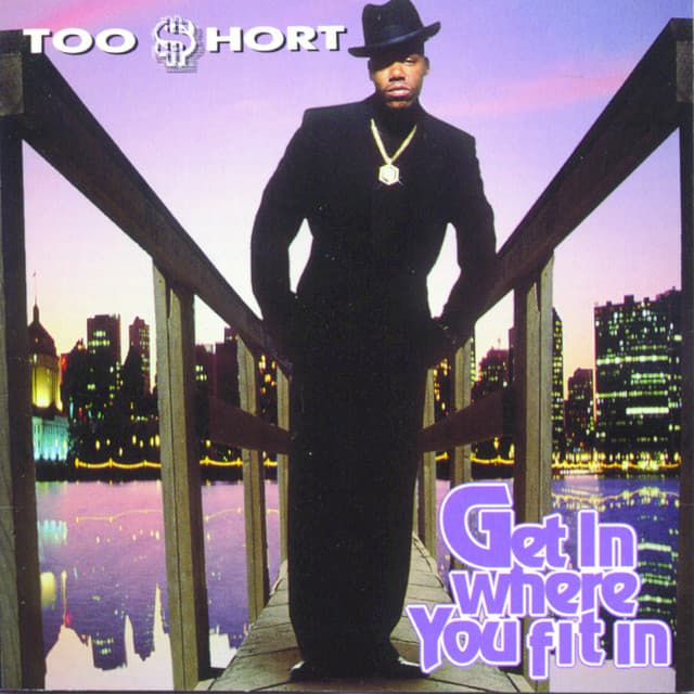Get In Where You Fit In cover art
