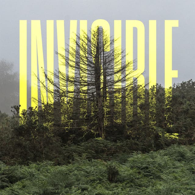 Partisans cover art