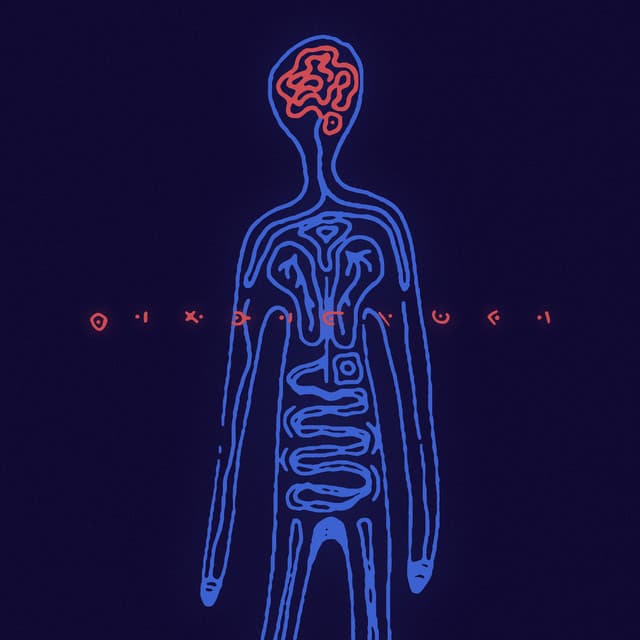 The River cover art