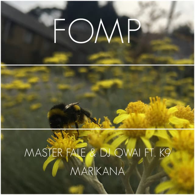 Marikana - Xoli Remix cover art