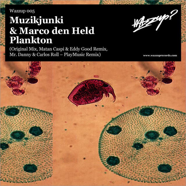 Plankton cover art