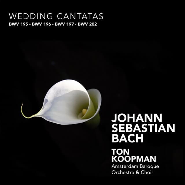 Bach: Wedding Cantatas cover art