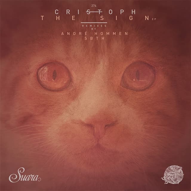 The Sign - Andre Hommen Remix cover art