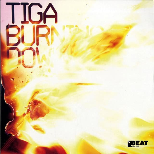 Burning Down - TGV Remix cover art