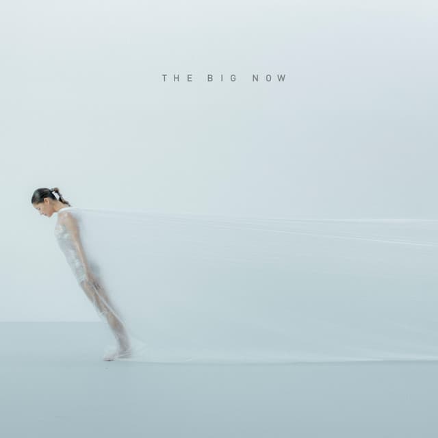 The Big Now - Piano Rework cover art