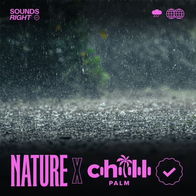 Rainy Afternoon in Capbreton cover art