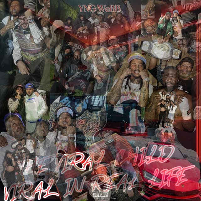 THE VIRAL CHILD IN REAL LIFE cover art