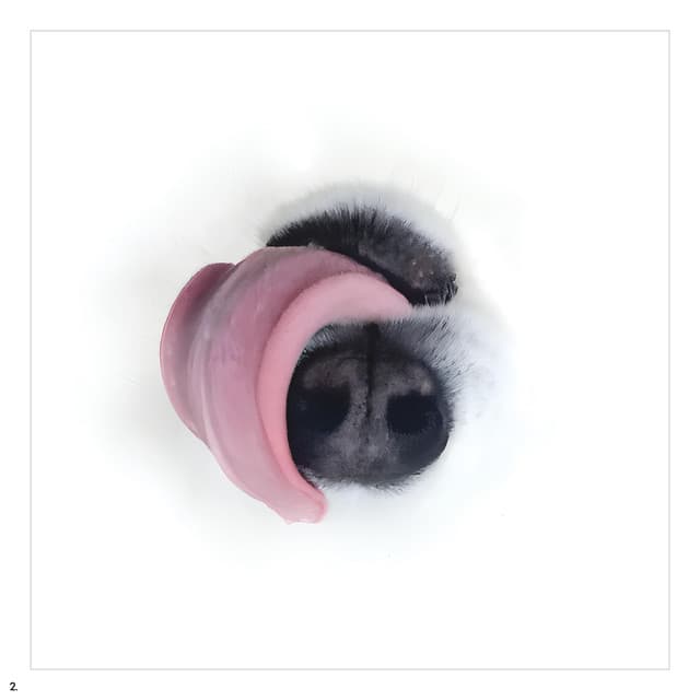 Cold/Clone cover art