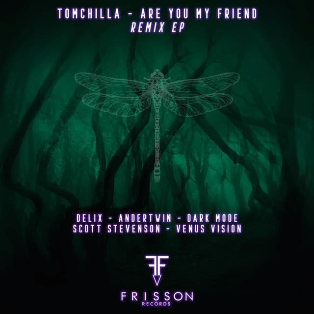 Are You My Friend - Andertwin Remix cover art