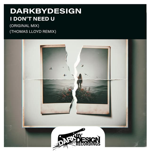 I Don't Need U - Extended Mix cover art