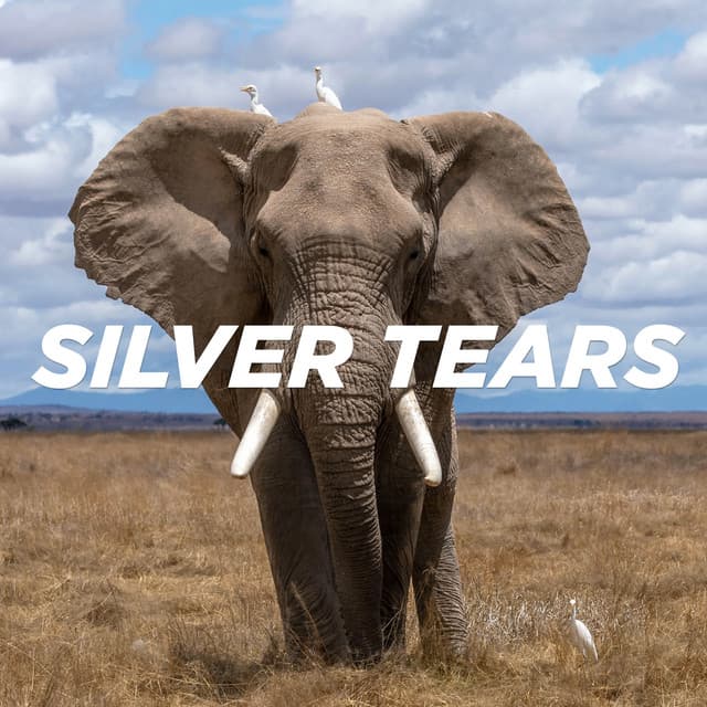 Silver Tears - Monty Luke Remix cover art