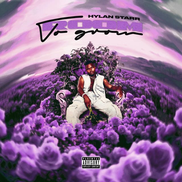 Room To Grow (Deluxe) cover art