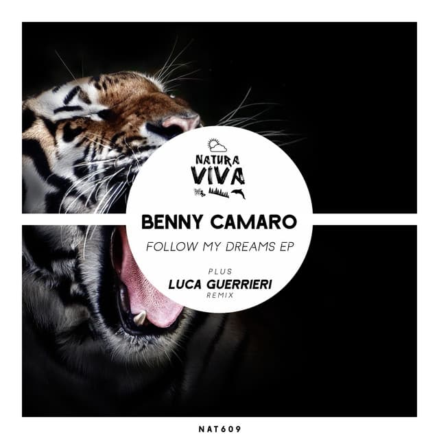 Orient Express - Luca Guerrieri Remix cover art