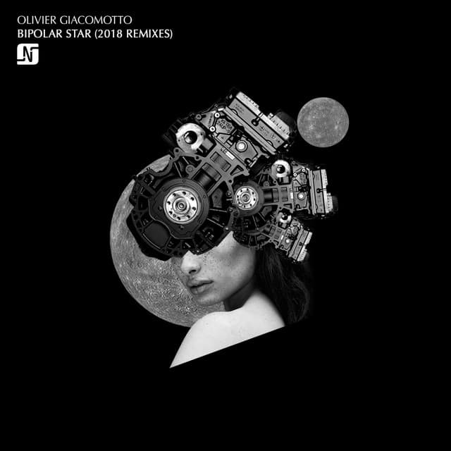 Bipolar Star - Animal Picnic, Aaryon Remix cover art