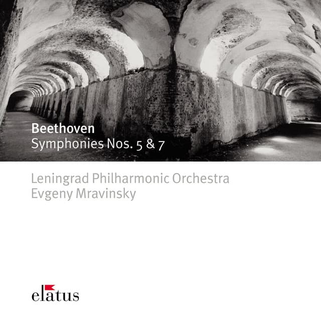 Beethoven: Symphony No. 5 in C Minor, Op. 67: II. Andante con moto (Live at Leningrad, 1974) cover art