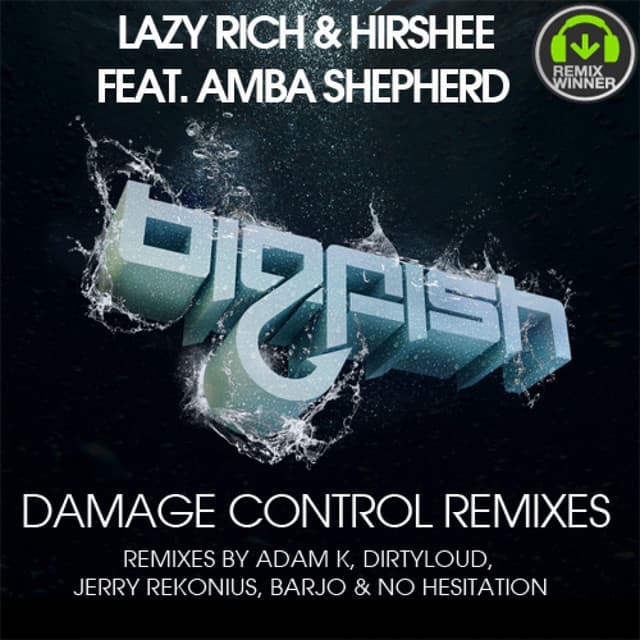 Damage Control - Dirtyloud Remix cover art