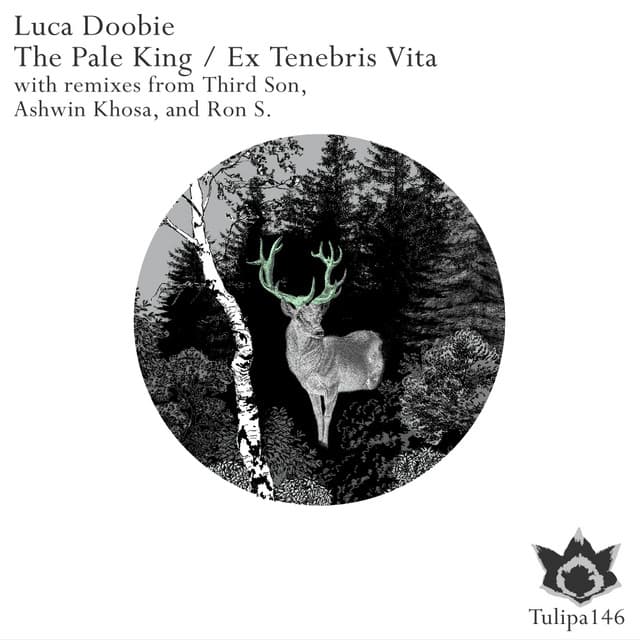 Ex Tenebris Vita - Ron S. Remix cover art