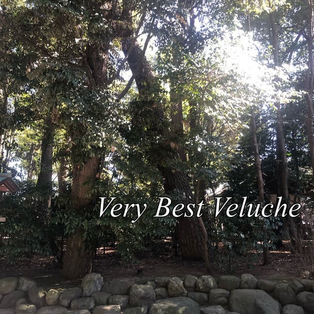 Very Best Veluche cover art