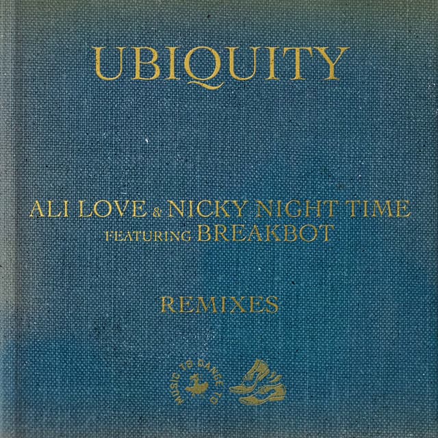 Ubiquity (Happiness is Wealth Disco Mix) cover art