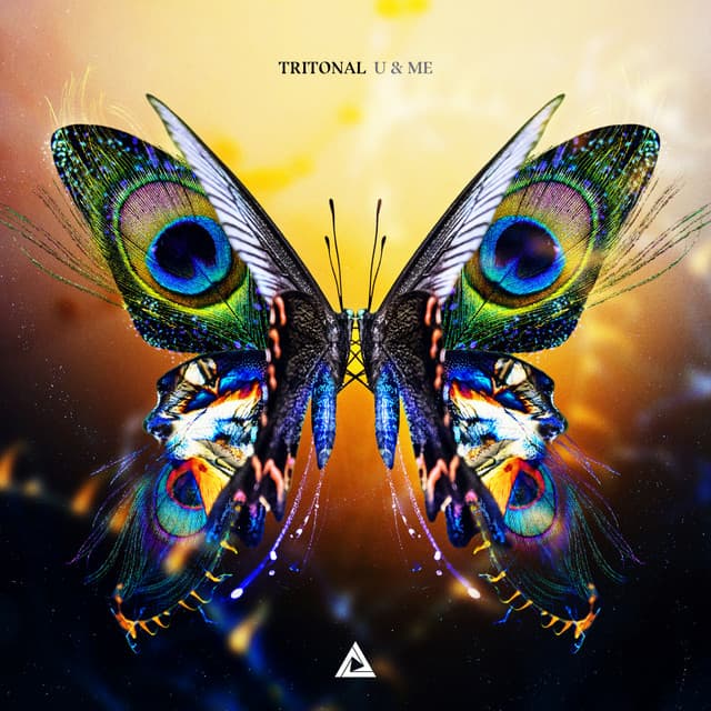 Ready cover art