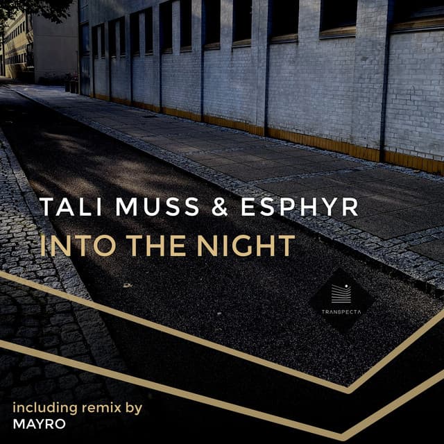 Into the Night - Mayro Remix cover art