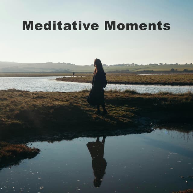 Meditative Moments cover art