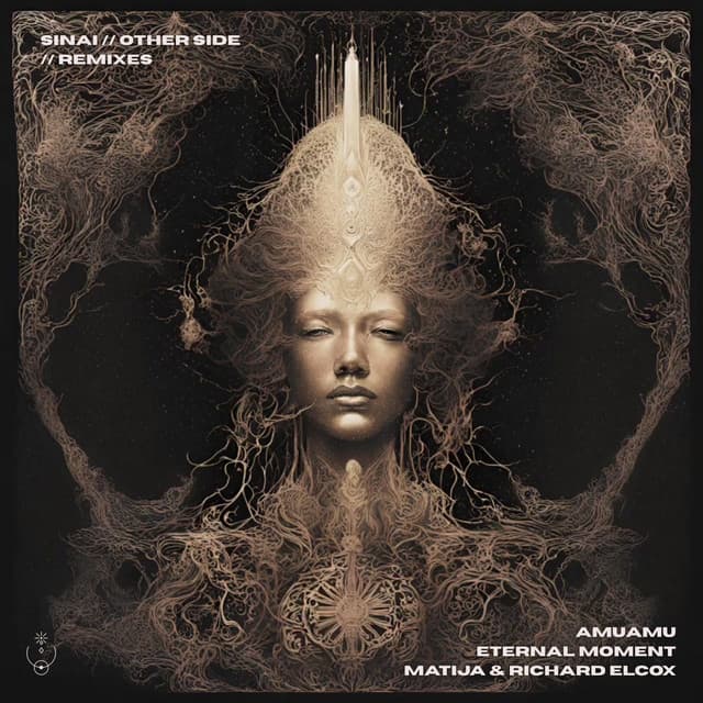 Insane World - Eternal Moment Remix cover art