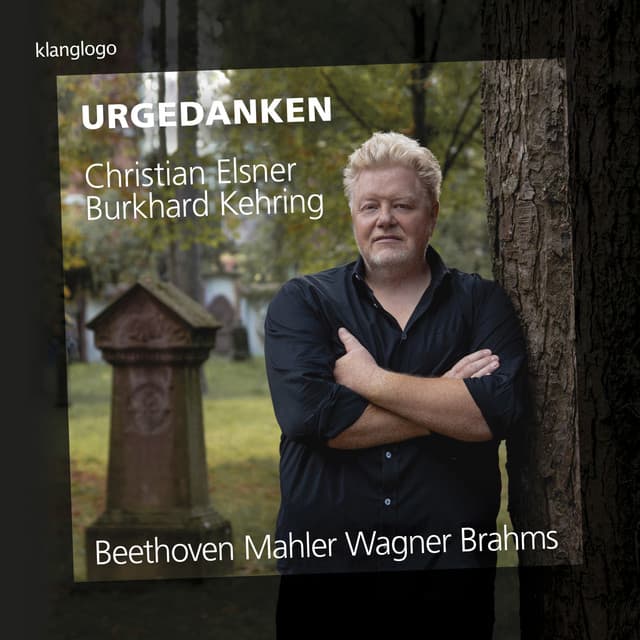 An die ferne Geliebte, Op. 98 No. 1-6 (Liederzyklus): No. 2 Wo die Berge so blau cover art