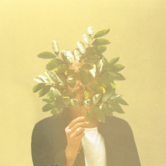 French Kiwi Juice cover art
