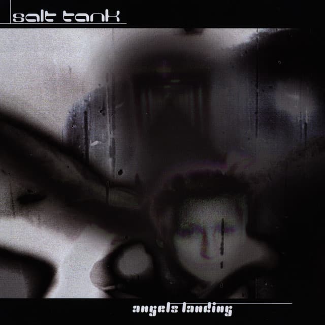Angels Landing cover art