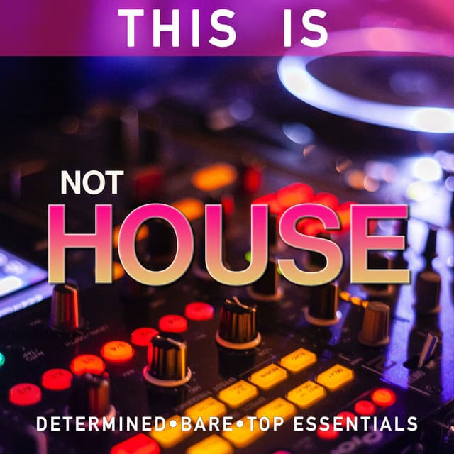 This Is Not House cover art