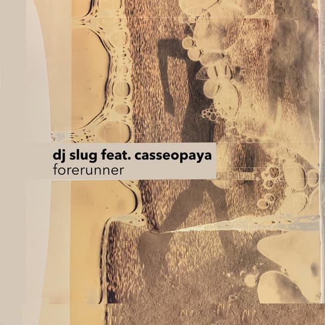 DJ Slug