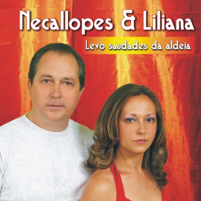 Levo Saudades da Aldeia cover art