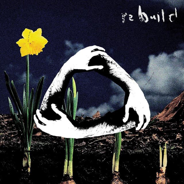 Midnight cover art