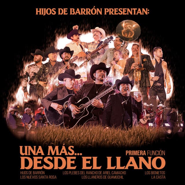 Mujer, Mujer (feat. Los Llaneros De Guamuchil) - En Vivo cover art