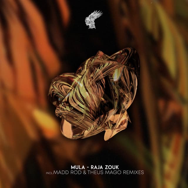 Raja Zouk cover art