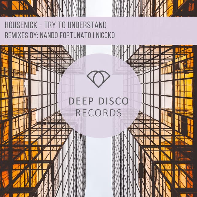 Try to Understand - Nando Fortunato Remix cover art