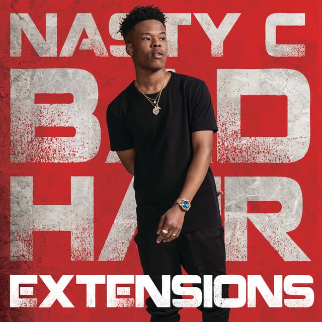 Bad Hair Extensions cover art