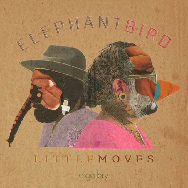 (d) cover art