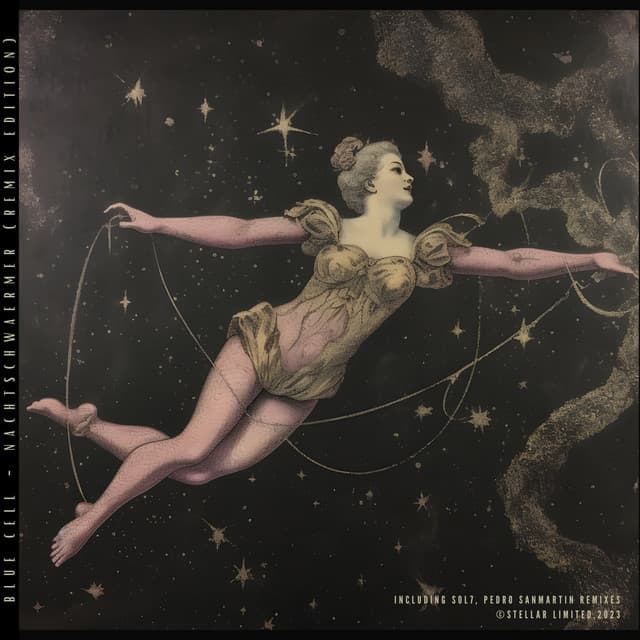 Nachtschwaermer - SOL7 Remix cover art