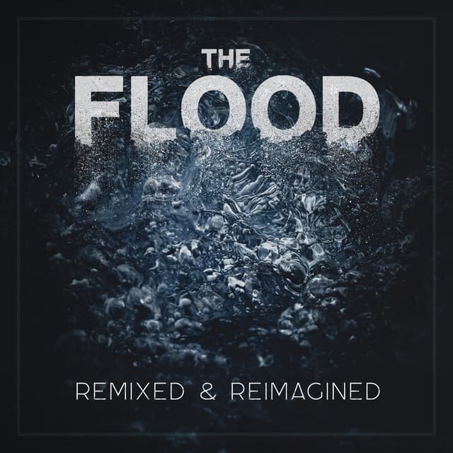 The Flood (fakelife Remix) cover art