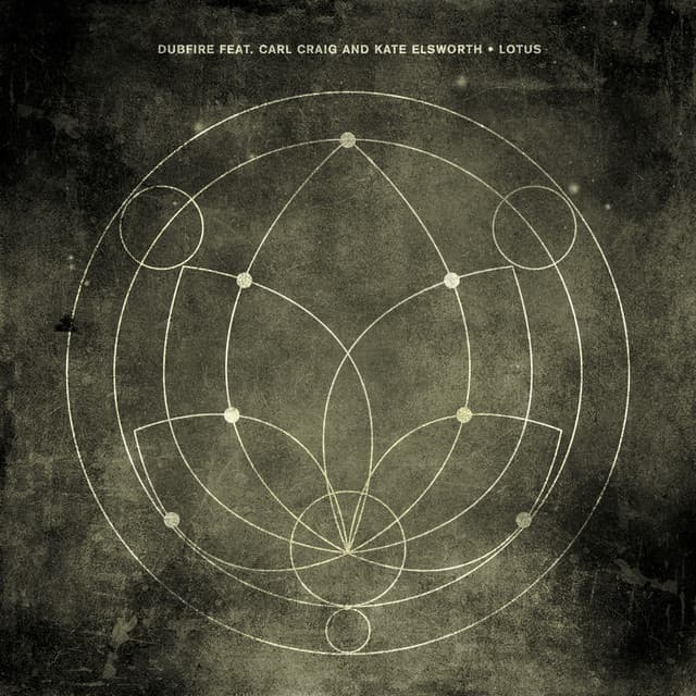 Lotus cover art