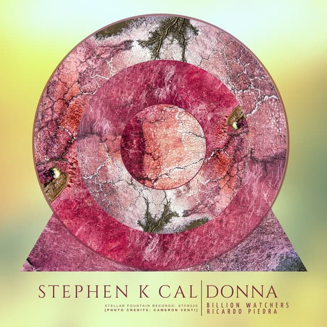 Donna - Billion Watchers Radio Edit cover art