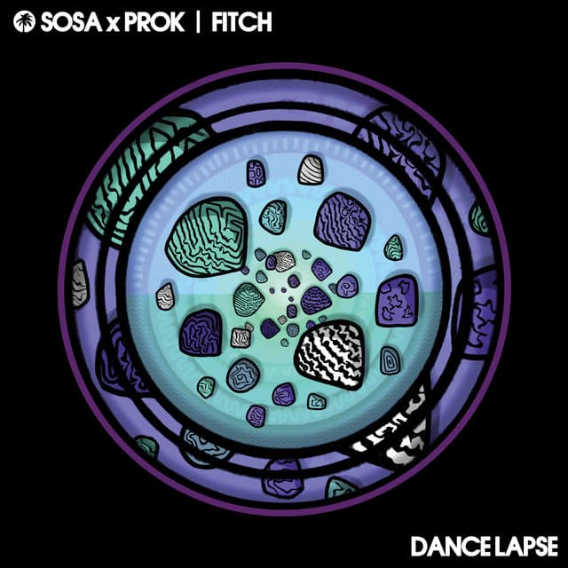 Dance Lapse cover art