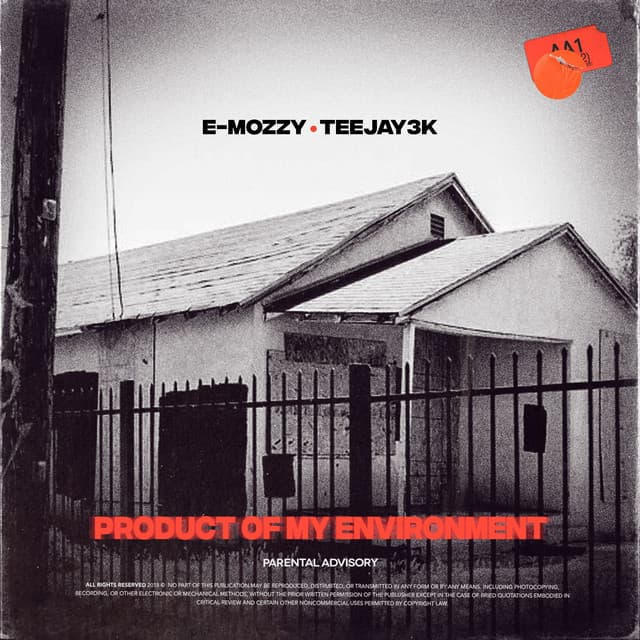 Product of My Environment cover art