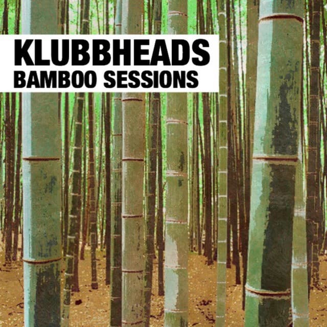 Bamboo Masters cover art